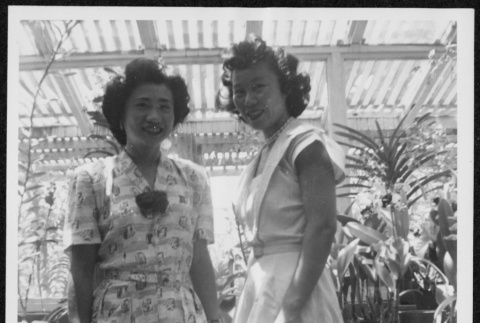 Nisei women pose in greenhouse (ddr-densho-363-126)