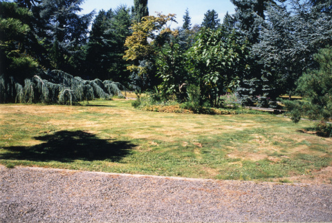 Right view of panorama from Entrance to Japanese Garden (ddr-densho-354-727)