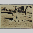 A man kneeling outside (ddr-densho-321-1197)