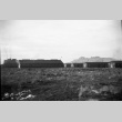 Castle Rock (Ward 5) (ddr-densho-570-10)