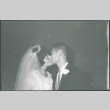 Bride and groom kissing (ddr-densho-523-343)