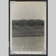 Field (ddr-densho-550-305)