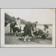 A group digging for clams (ddr-densho-201-913)