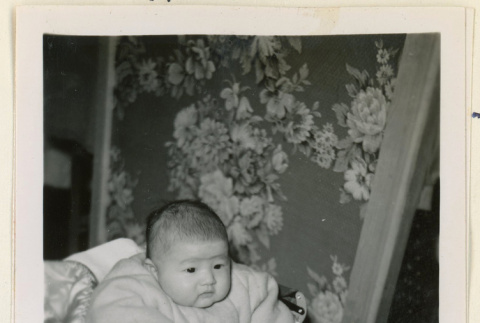 Pvt. Aoi Yoshio's baby (ddr-densho-37-1246)