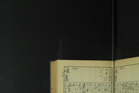Page 243 (ddr-densho-255-5-master-1166b15747)