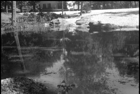 Pond with house in background (ddr-densho-377-1493)