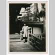 Mitsuye Takemiya at Daikaku-ji Temple (ddr-densho-550-27)