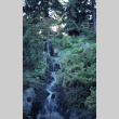 Upper and Middle Waterfalls (ddr-densho-354-1264)