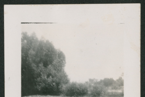 2 people floating in the water (ddr-densho-378-798)