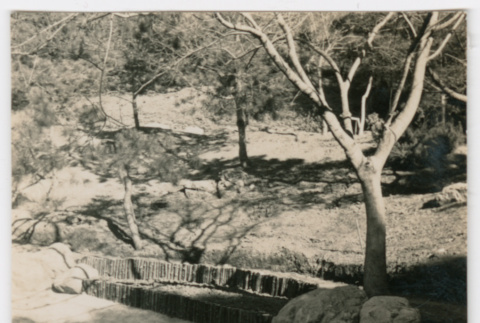 Pond bed (ddr-densho-377-2252)