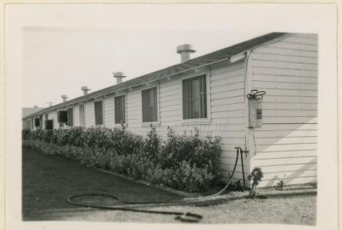 Flowers outside the administration building (ddr-densho-37-1099)