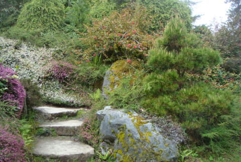 Stone steps on Mountainside (ddr-densho-354-2816)