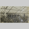 Hayward greenhouse (ddr-densho-357-598)