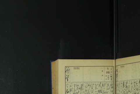 Page 161 (ddr-densho-255-5-master-0ffc0759f1)