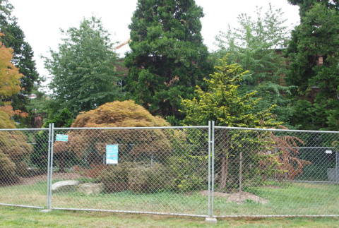8 trees and 18 stones moved from Kubota landscape at University Services building in December 2018,  Seattle University (ddr-densho-354-2769)