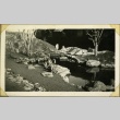 Block gardens in Manzanar (ddr-manz-4-89)