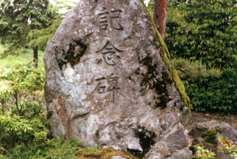 Memory Stone (ddr-densho-354-601)