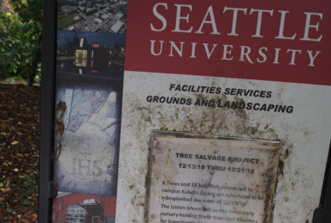 Tree Salvage Sign Seattle University (ddr-densho-354-2767)