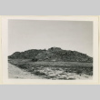 Picnic area (ddr-densho-37-1077)