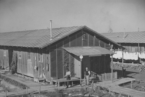 Landscaping done by incarcerees of Camp No. 1 at Colorado River incarceration camp (ddr-csujad-14-61)