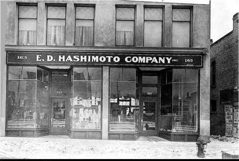 E.D. Hashimoto Company (ddr-densho-162-44)