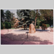 Driveway with rock landscaping (ddr-densho-377-1884)