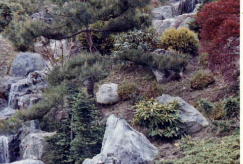 Middle and upper waterfall on the Mountainside (ddr-densho-354-167)