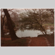 Walk way to bridge (ddr-densho-377-2119)