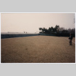 Yard before landscaping (ddr-densho-377-1871)