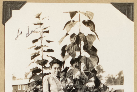 Dorothy Hokoyama at Rohwer (ddr-densho-542-430)