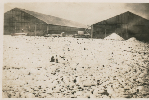 Greenhouses in snow (ddr-densho-357-445)