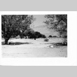 [Photograph of Manzanar] (ddr-csujad-29-189)