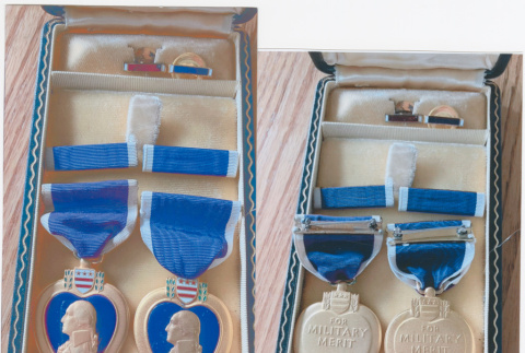 Purple Hearts in case (ddr-densho-539-123)