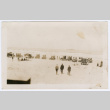 Cars on the beach (ddr-densho-480-80)