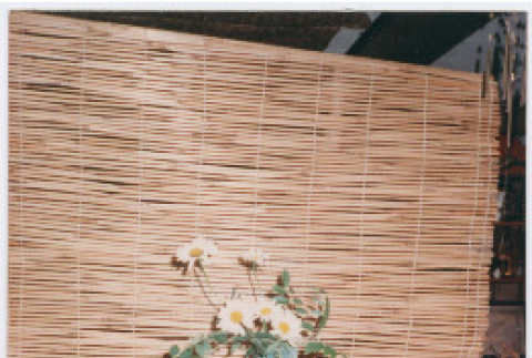 Photo front and back (ddr-densho-534-16-mezzanine-4c0978be02)