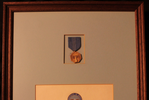 Frank Sato's Department of Defense Distinguished Civilian Service Medal (ddr-densho-345-18)