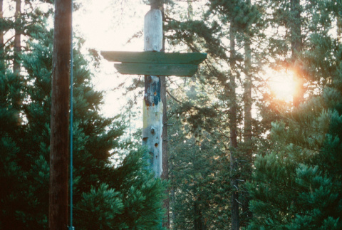 View from behind a totem pole towards the lake (ddr-densho-336-1089)