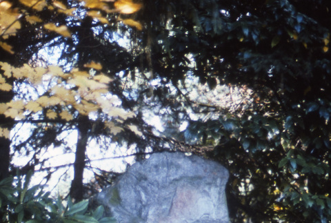 Prayer Stone (ddr-densho-354-331)