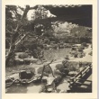 Temple Gardens in Kyoto (ddr-one-2-32)