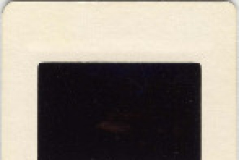 Front and back (ddr-densho-377-873-mezzanine-cc5e1cdc2f)