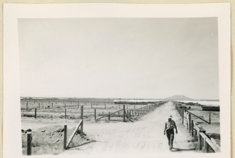Man walking down a dirt road (ddr-densho-37-1625)