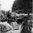 Japanese Garden looking west (ddr-densho-354-591)