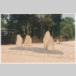 Rock landscaping (ddr-densho-377-1880)