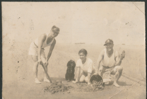 Two men, a woman and dog digging razor clams (ddr-densho-523-44)