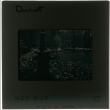 Garden and pond at the Durst project (ddr-densho-377-387)