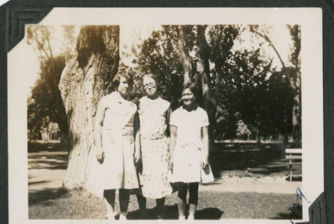 three women next to a large tree (ddr-densho-378-604)