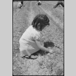 Girl weeding in school victory garden (ddr-densho-37-520)