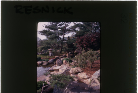 Japanese garden at the Resnick project (ddr-densho-377-1165)