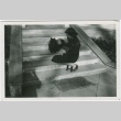 A woman on stairs with a dog (ddr-densho-338-302)