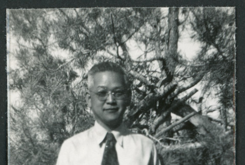 Photograph of a man posing in front of a tree at Manzanar (ddr-csujad-47-188)